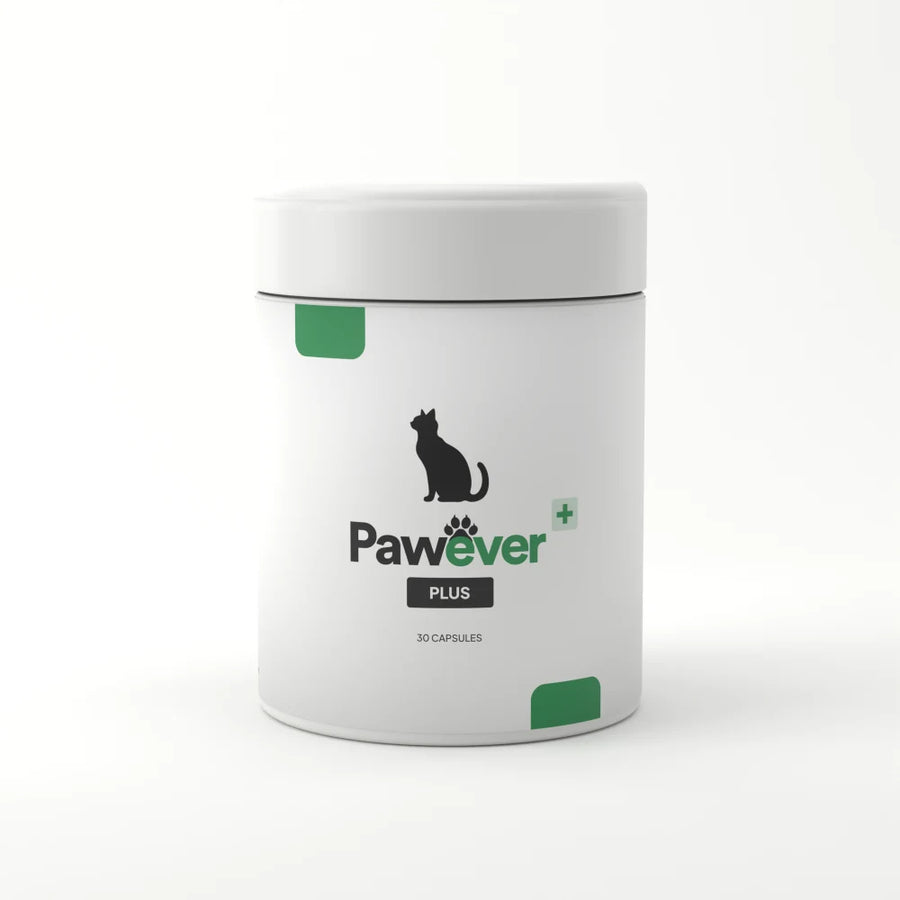 Pawever Plus for Cats