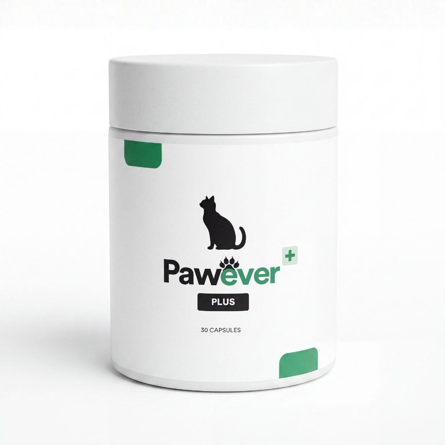 Pawever Plus for Cats