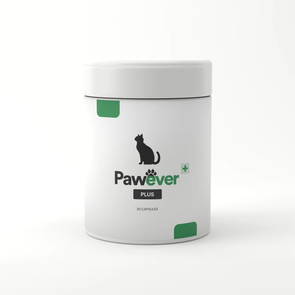 Pawever Plus for Cats jar, 30 capsules