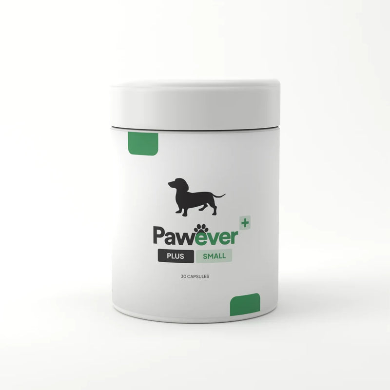 Pawever Plus for Dogs
