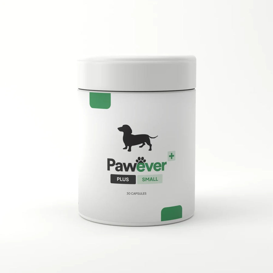 Pawever Plus for Dogs