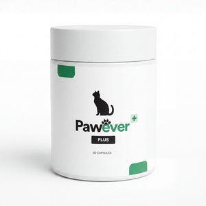 Pawever Plus for Cats