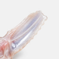 Undenatured Type II Collagen