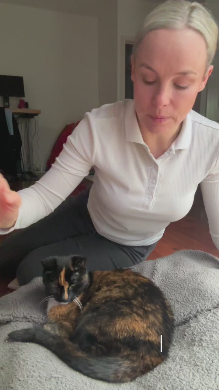 Trudi & Panda